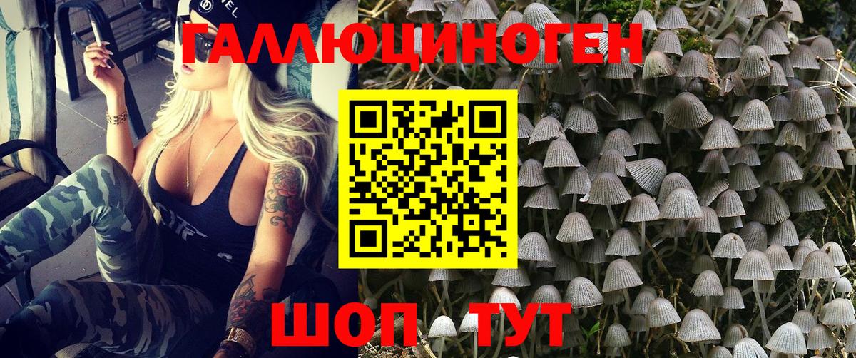 Галлюциногенные грибы MAGIC MUSHROOMS Кемерово